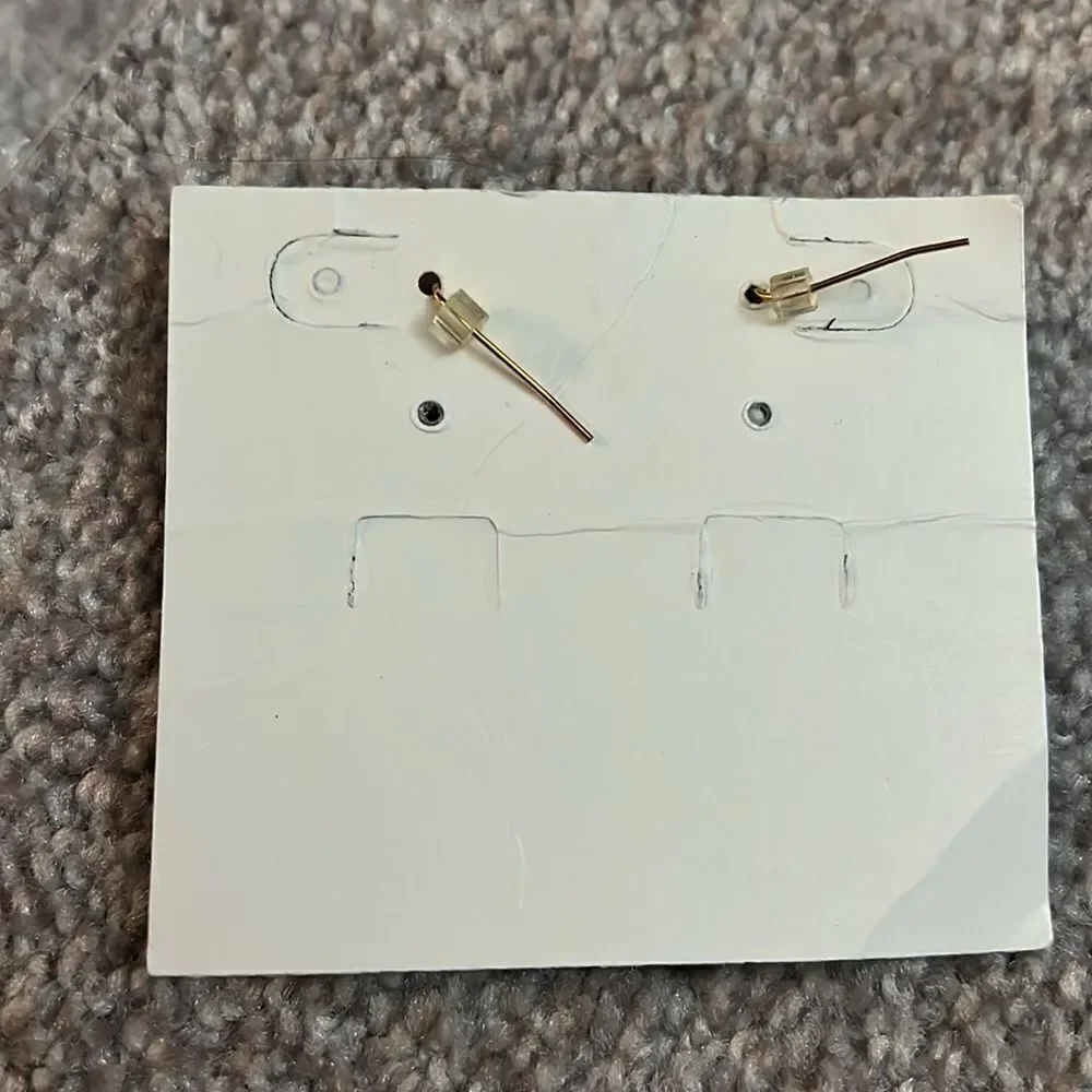 NWT Premier Designs “Tara” Earrings